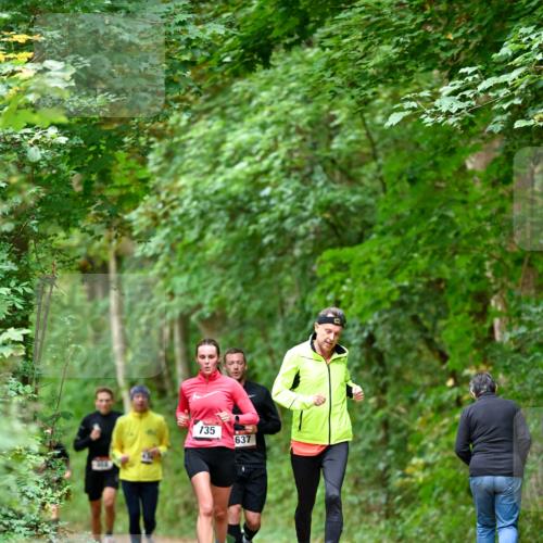 11.10.2026 - Bramfelder Halbmarathon 2026 Dr. Thomas Lammeyer http://msf.ph/oto/10824650 11.10.2026 10:44:35 Laufen 135, 637 meine-sportfotos.de
