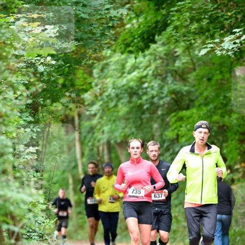 11.10.2026 - Bramfelder Halbmarathon 2026 Dr. Thomas Lammeyer http://msf.ph/oto/10824660 11.10.2026 10:44:37 Laufen 135, 637 meine-sportfotos.de