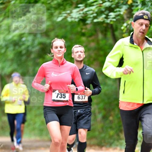 11.10.2026 - Bramfelder Halbmarathon 2026 Dr. Thomas Lammeyer http://msf.ph/oto/10824678 11.10.2026 10:44:41 Laufen 29, 735, 637 meine-sportfotos.de