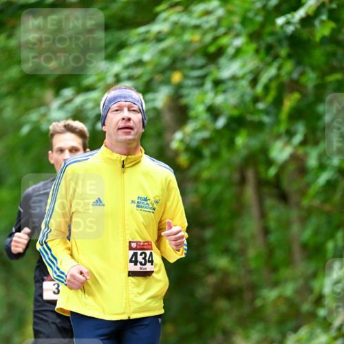 11.10.2026 - Bramfelder Halbmarathon 2026 Dr. Thomas Lammeyer http://msf.ph/oto/10824713 11.10.2026 10:44:46 Laufen 3, 36, 434 meine-sportfotos.de