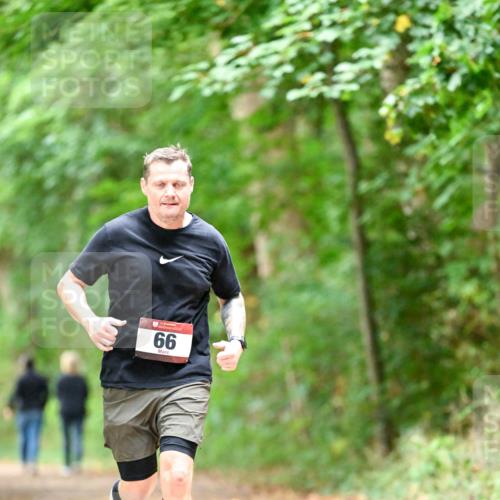 11.10.2026 - Bramfelder Halbmarathon 2026 Dr. Thomas Lammeyer http://msf.ph/oto/10824730 11.10.2026 10:44:50 Laufen 66 meine-sportfotos.de
