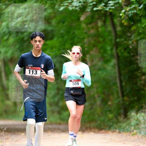11.10.2026 - Bramfelder Halbmarathon 2026 Dr. Thomas Lammeyer http://msf.ph/oto/10824854 11.10.2026 10:45:49 Laufen 113, 309 meine-sportfotos.de