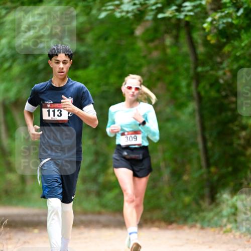 11.10.2026 - Bramfelder Halbmarathon 2026 Dr. Thomas Lammeyer http://msf.ph/oto/10824855 11.10.2026 10:45:50 Laufen 113, 309 meine-sportfotos.de