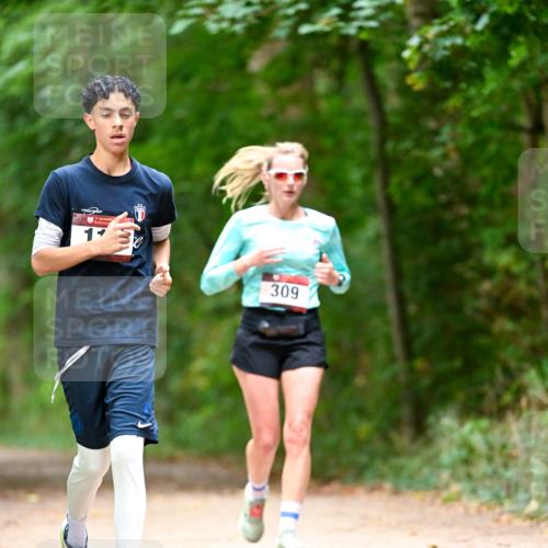 11.10.2026 - Bramfelder Halbmarathon 2026 Dr. Thomas Lammeyer http://msf.ph/oto/10824858 11.10.2026 10:45:50 Laufen 309 meine-sportfotos.de