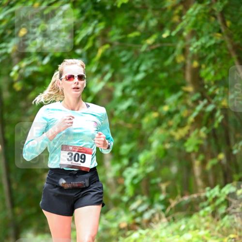 11.10.2026 - Bramfelder Halbmarathon 2026 Dr. Thomas Lammeyer http://msf.ph/oto/10824869 11.10.2026 10:45:52 Laufen 309 meine-sportfotos.de