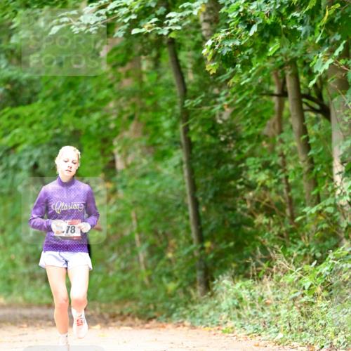11.10.2026 - Bramfelder Halbmarathon 2026 Dr. Thomas Lammeyer http://msf.ph/oto/10824898 11.10.2026 10:46:17 Laufen 78 meine-sportfotos.de