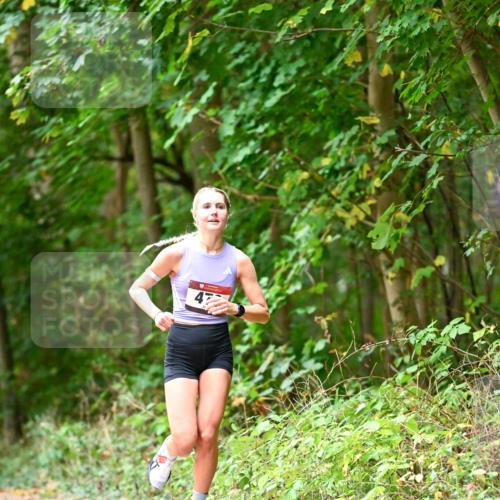 11.10.2026 - Bramfelder Halbmarathon 2026 Dr. Thomas Lammeyer http://msf.ph/oto/10824925 11.10.2026 10:46:22 Laufen 47 meine-sportfotos.de
