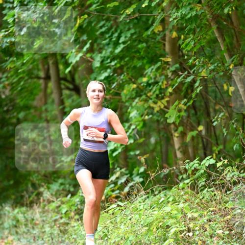 11.10.2026 - Bramfelder Halbmarathon 2026 Dr. Thomas Lammeyer http://msf.ph/oto/10824926 11.10.2026 10:46:22 Laufen  meine-sportfotos.de