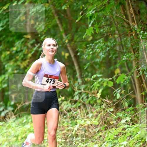 11.10.2026 - Bramfelder Halbmarathon 2026 Dr. Thomas Lammeyer http://msf.ph/oto/10824934 11.10.2026 10:46:24 Laufen 47977 meine-sportfotos.de