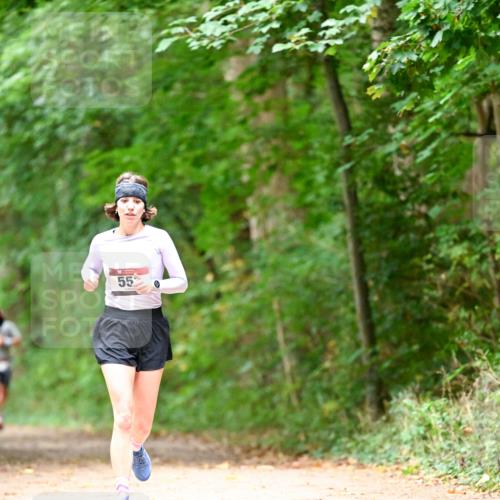 11.10.2026 - Bramfelder Halbmarathon 2026 Dr. Thomas Lammeyer http://msf.ph/oto/10824943 11.10.2026 10:46:47 Laufen 55 meine-sportfotos.de