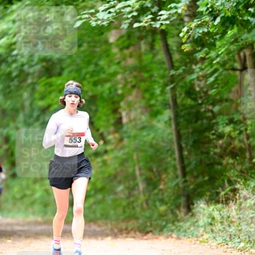 11.10.2026 - Bramfelder Halbmarathon 2026 Dr. Thomas Lammeyer http://msf.ph/oto/10824945 11.10.2026 10:46:48 Laufen 553 meine-sportfotos.de