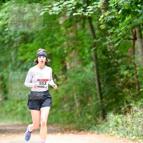 11.10.2026 - Bramfelder Halbmarathon 2026 Dr. Thomas Lammeyer http://msf.ph/oto/10824946 11.10.2026 10:46:48 Laufen 553 meine-sportfotos.de