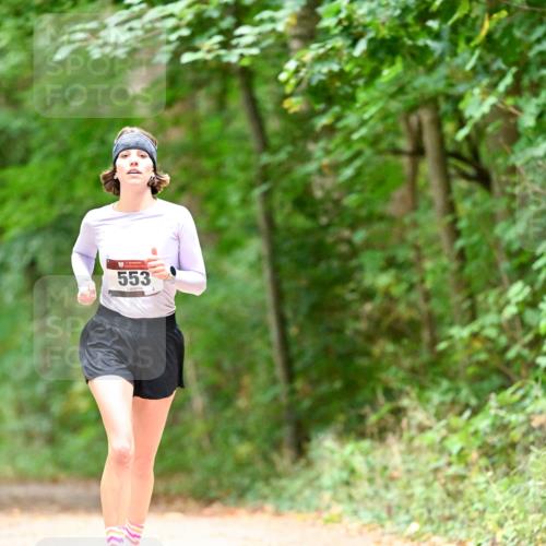 11.10.2026 - Bramfelder Halbmarathon 2026 Dr. Thomas Lammeyer http://msf.ph/oto/10824953 11.10.2026 10:46:49 Laufen 553 meine-sportfotos.de