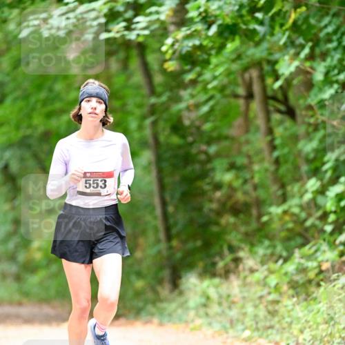 11.10.2026 - Bramfelder Halbmarathon 2026 Dr. Thomas Lammeyer http://msf.ph/oto/10824955 11.10.2026 10:46:49 Laufen 553 meine-sportfotos.de