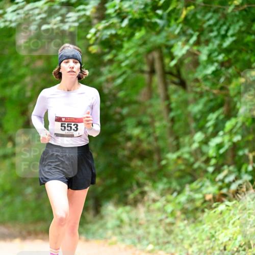 11.10.2026 - Bramfelder Halbmarathon 2026 Dr. Thomas Lammeyer http://msf.ph/oto/10824958 11.10.2026 10:46:49 Laufen 553 meine-sportfotos.de