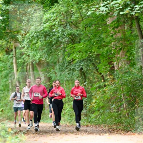 11.10.2026 - Bramfelder Halbmarathon 2026 Dr. Thomas Lammeyer http://msf.ph/oto/10825012 11.10.2026 10:47:12 Laufen 69, 769, 78, 270, 360, 323 meine-sportfotos.de