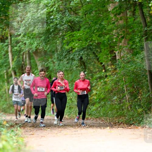 11.10.2026 - Bramfelder Halbmarathon 2026 Dr. Thomas Lammeyer http://msf.ph/oto/10825016 11.10.2026 10:47:12 Laufen 769, 788, 270, 360, 23 meine-sportfotos.de
