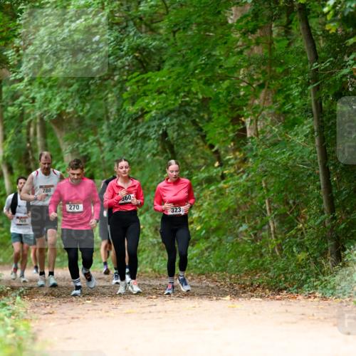 11.10.2026 - Bramfelder Halbmarathon 2026 Dr. Thomas Lammeyer http://msf.ph/oto/10825019 11.10.2026 10:47:13 Laufen 769, 788, 270, 360, 323 meine-sportfotos.de