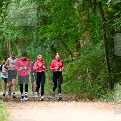 11.10.2026 - Bramfelder Halbmarathon 2026 Dr. Thomas Lammeyer http://msf.ph/oto/10825020 11.10.2026 10:47:13 Laufen 769, 788, 270, 360, 323 meine-sportfotos.de