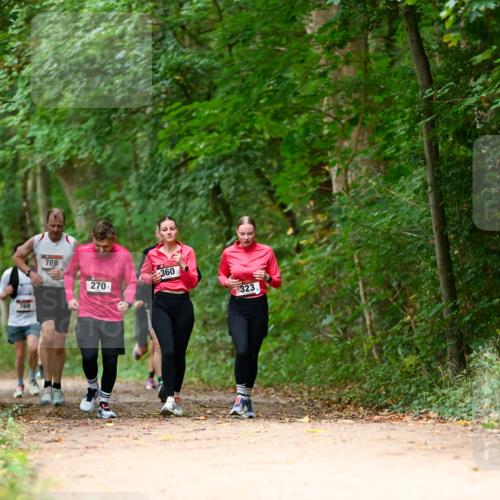 11.10.2026 - Bramfelder Halbmarathon 2026 Dr. Thomas Lammeyer http://msf.ph/oto/10825022 11.10.2026 10:47:13 Laufen 769, 788, 270, 360, 323 meine-sportfotos.de
