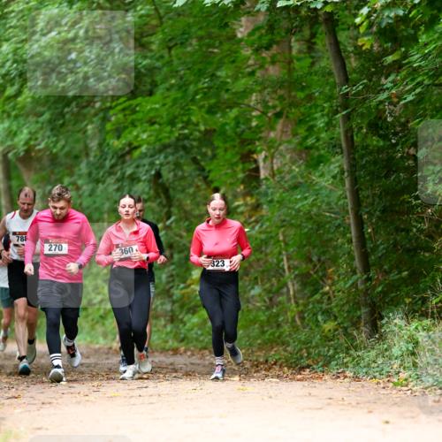 11.10.2026 - Bramfelder Halbmarathon 2026 Dr. Thomas Lammeyer http://msf.ph/oto/10825026 11.10.2026 10:47:14 Laufen 788, 270, 360, 323 meine-sportfotos.de