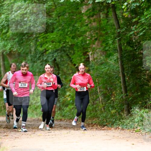 11.10.2026 - Bramfelder Halbmarathon 2026 Dr. Thomas Lammeyer http://msf.ph/oto/10825029 11.10.2026 10:47:15 Laufen 270, 360, 323 meine-sportfotos.de