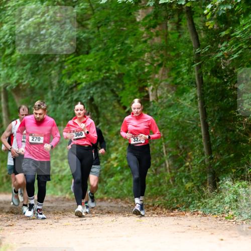11.10.2026 - Bramfelder Halbmarathon 2026 Dr. Thomas Lammeyer http://msf.ph/oto/10825030 11.10.2026 10:47:15 Laufen 8, 270, 360, 32 meine-sportfotos.de