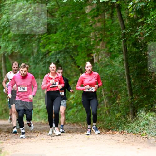 11.10.2026 - Bramfelder Halbmarathon 2026 Dr. Thomas Lammeyer http://msf.ph/oto/10825032 11.10.2026 10:47:15 Laufen 270, 560, 5, 523 meine-sportfotos.de