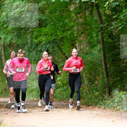 11.10.2026 - Bramfelder Halbmarathon 2026 Dr. Thomas Lammeyer http://msf.ph/oto/10825033 11.10.2026 10:47:15 Laufen 270, 00, 323 meine-sportfotos.de