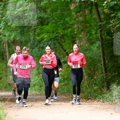11.10.2026 - Bramfelder Halbmarathon 2026 Dr. Thomas Lammeyer http://msf.ph/oto/10825035 11.10.2026 10:47:15 Laufen 270, 360, 323 meine-sportfotos.de