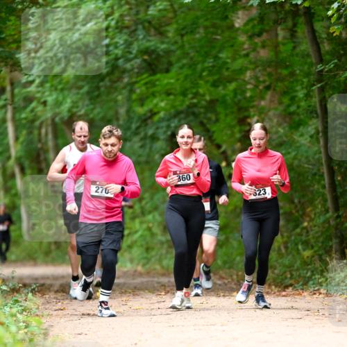 11.10.2026 - Bramfelder Halbmarathon 2026 Dr. Thomas Lammeyer http://msf.ph/oto/10825040 11.10.2026 10:47:16 Laufen 270, 360, 323 meine-sportfotos.de