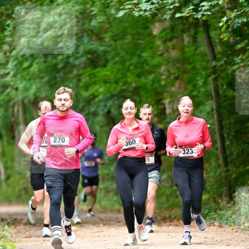 11.10.2026 - Bramfelder Halbmarathon 2026 Dr. Thomas Lammeyer http://msf.ph/oto/10825045 11.10.2026 10:47:17 Laufen 78, 270, 360, 75, 323 meine-sportfotos.de