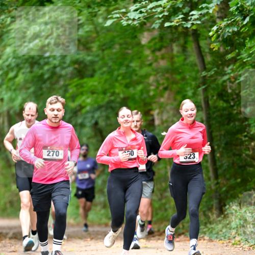 11.10.2026 - Bramfelder Halbmarathon 2026 Dr. Thomas Lammeyer http://msf.ph/oto/10825047 11.10.2026 10:47:17 Laufen 270, 30, 323 meine-sportfotos.de