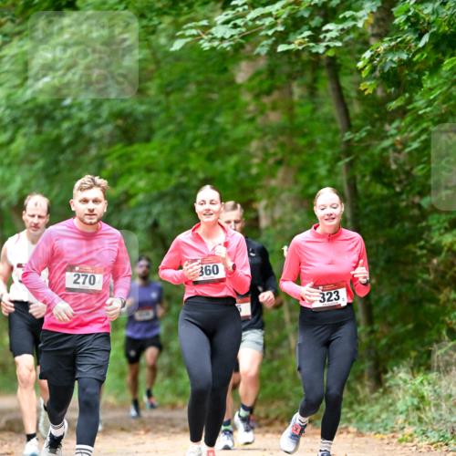11.10.2026 - Bramfelder Halbmarathon 2026 Dr. Thomas Lammeyer http://msf.ph/oto/10825048 11.10.2026 10:47:17 Laufen 270, 360, 323 meine-sportfotos.de
