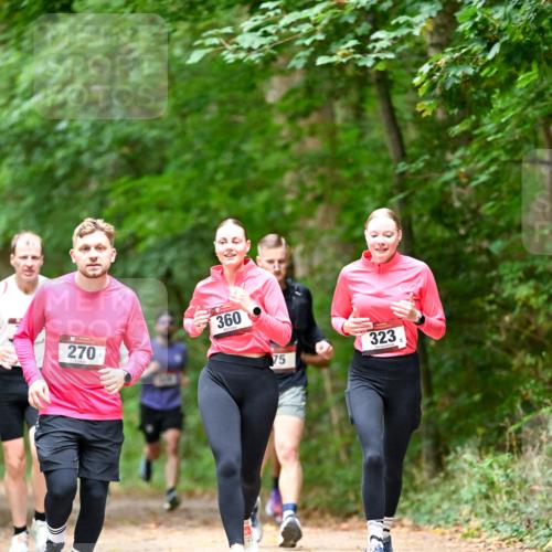 11.10.2026 - Bramfelder Halbmarathon 2026 Dr. Thomas Lammeyer http://msf.ph/oto/10825049 11.10.2026 10:47:18 Laufen 270, 360, 75, 323 meine-sportfotos.de