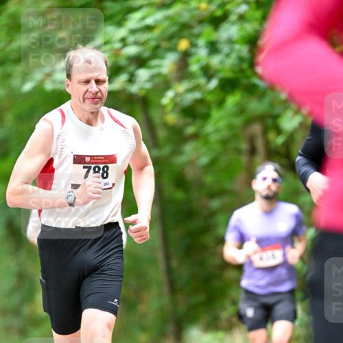 11.10.2026 - Bramfelder Halbmarathon 2026 Dr. Thomas Lammeyer http://msf.ph/oto/10825068 11.10.2026 10:47:22 Laufen 35, 798, 798, 245, 406 meine-sportfotos.de
