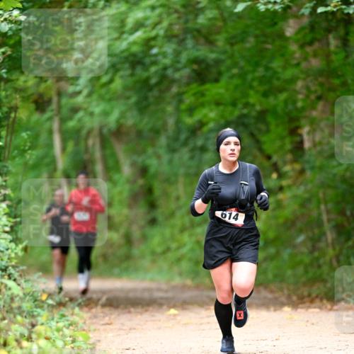 11.10.2026 - Bramfelder Halbmarathon 2026 Dr. Thomas Lammeyer http://msf.ph/oto/10825084 11.10.2026 10:47:36 Laufen 614 meine-sportfotos.de