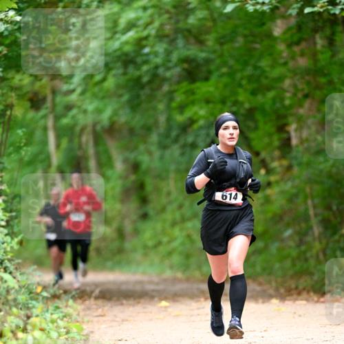 11.10.2026 - Bramfelder Halbmarathon 2026 Dr. Thomas Lammeyer http://msf.ph/oto/10825085 11.10.2026 10:47:36 Laufen 614 meine-sportfotos.de