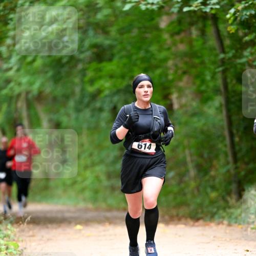 11.10.2026 - Bramfelder Halbmarathon 2026 Dr. Thomas Lammeyer http://msf.ph/oto/10825090 11.10.2026 10:47:36 Laufen 614 meine-sportfotos.de