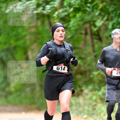 11.10.2026 - Bramfelder Halbmarathon 2026 Dr. Thomas Lammeyer http://msf.ph/oto/10825101 11.10.2026 10:47:38 Laufen 614, 26 meine-sportfotos.de