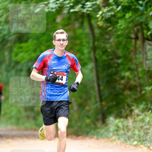 11.10.2026 - Bramfelder Halbmarathon 2026 Dr. Thomas Lammeyer http://msf.ph/oto/10825168 11.10.2026 10:48:02 Laufen 44 meine-sportfotos.de