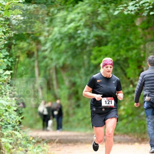 11.10.2026 - Bramfelder Halbmarathon 2026 Dr. Thomas Lammeyer http://msf.ph/oto/10825240 11.10.2026 10:48:40 Laufen 121 meine-sportfotos.de