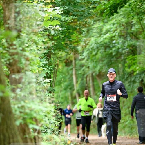 11.10.2026 - Bramfelder Halbmarathon 2026 Dr. Thomas Lammeyer http://msf.ph/oto/10825253 11.10.2026 10:48:50 Laufen 259 meine-sportfotos.de