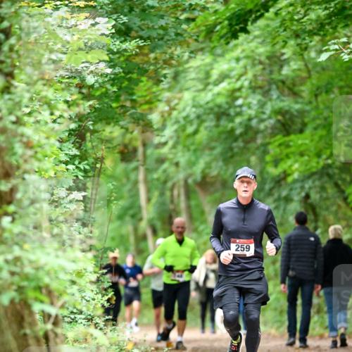 11.10.2026 - Bramfelder Halbmarathon 2026 Dr. Thomas Lammeyer http://msf.ph/oto/10825257 11.10.2026 10:48:50 Laufen 259 meine-sportfotos.de