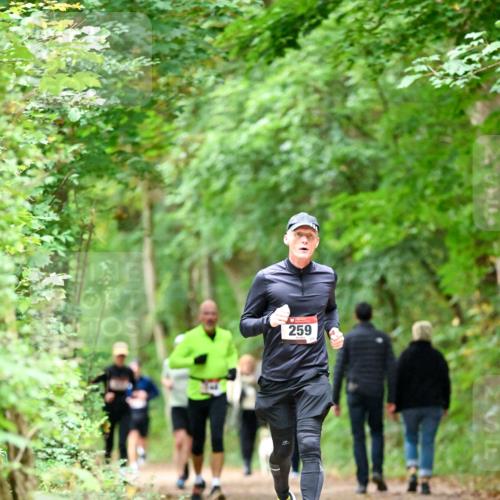 11.10.2026 - Bramfelder Halbmarathon 2026 Dr. Thomas Lammeyer http://msf.ph/oto/10825261 11.10.2026 10:48:51 Laufen 08, 259 meine-sportfotos.de