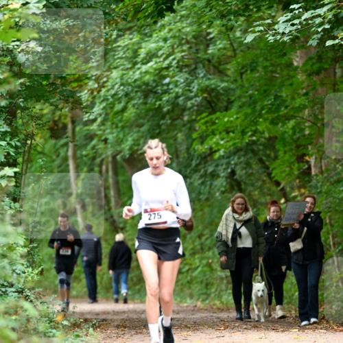 11.10.2026 - Bramfelder Halbmarathon 2026 Dr. Thomas Lammeyer http://msf.ph/oto/10825336 11.10.2026 10:49:08 Laufen 275 meine-sportfotos.de