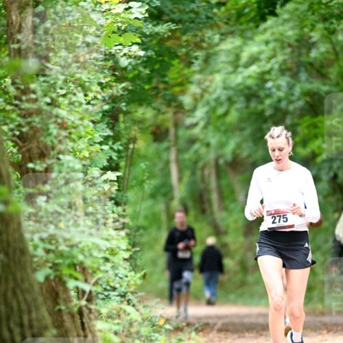 11.10.2026 - Bramfelder Halbmarathon 2026 Dr. Thomas Lammeyer http://msf.ph/oto/10825337 11.10.2026 10:49:10 Laufen 275 meine-sportfotos.de