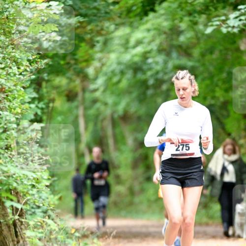 11.10.2026 - Bramfelder Halbmarathon 2026 Dr. Thomas Lammeyer http://msf.ph/oto/10825342 11.10.2026 10:49:11 Laufen 275 meine-sportfotos.de