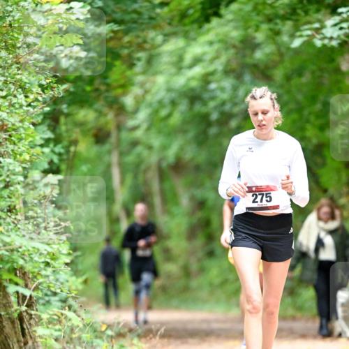 11.10.2026 - Bramfelder Halbmarathon 2026 Dr. Thomas Lammeyer http://msf.ph/oto/10825343 11.10.2026 10:49:11 Laufen 275 meine-sportfotos.de