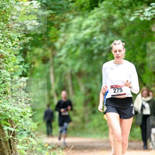 11.10.2026 - Bramfelder Halbmarathon 2026 Dr. Thomas Lammeyer http://msf.ph/oto/10825344 11.10.2026 10:49:11 Laufen 275 meine-sportfotos.de
